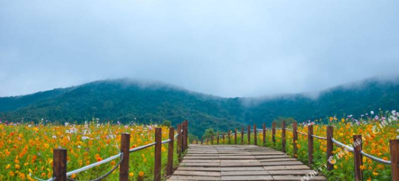 无锡栖湖畔客栈图片