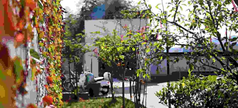 宏村花间墨堂客栈图片