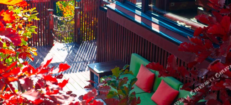 云峰山童话树屋图片