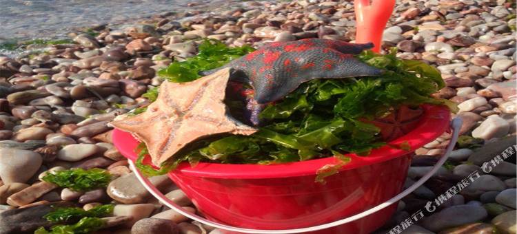 长岛杨艳渔家乐图片