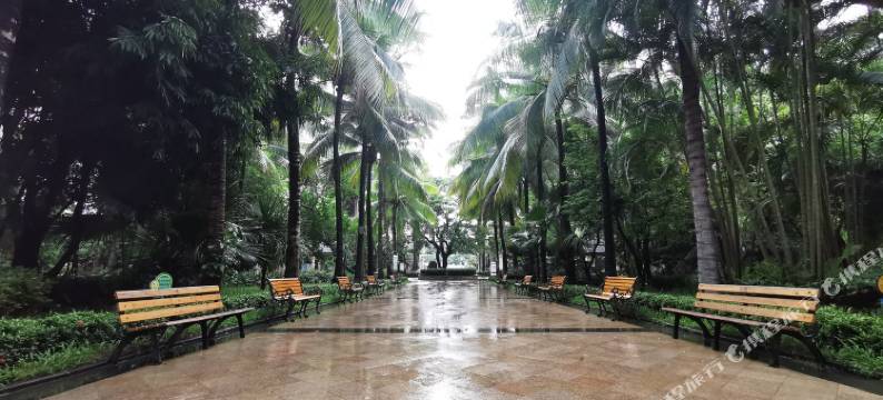 三亚近海高端公寓(金鸡岭村一巷分店)图片