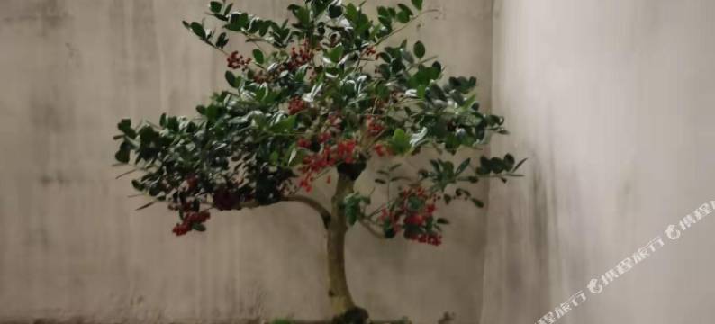 宏村零零玖客栈图片