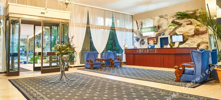 大陆德罗贝塔林堡酒店(Continental Drobeta Turnu Severin)图片