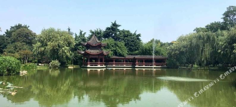 OYO长沙维格娜酒店图片