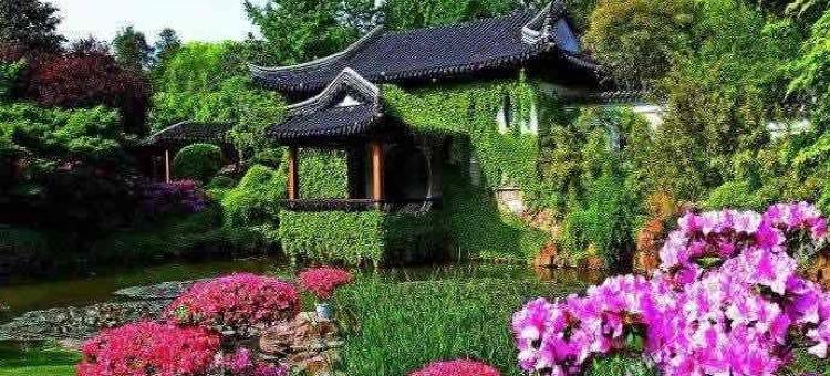 OYO长沙芙榕宾馆图片