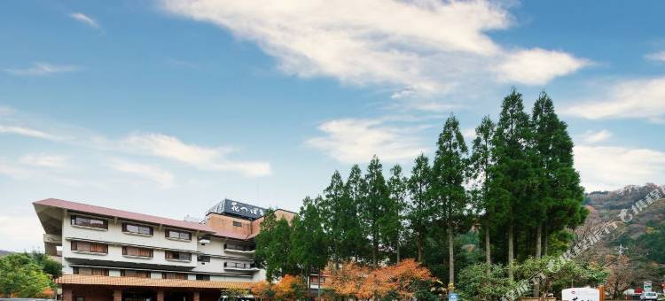 花椿山中温泉旅馆(Hanatsubaki)图片