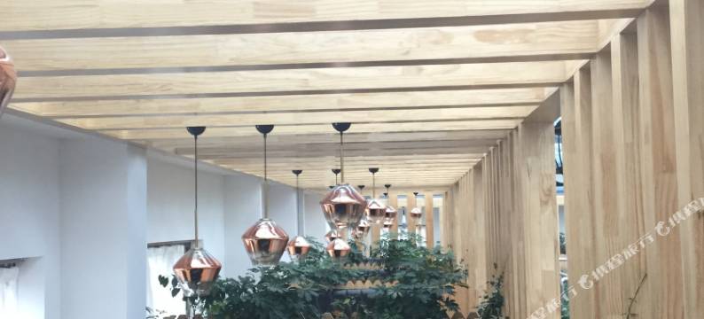 普兰银城生态大酒店图片