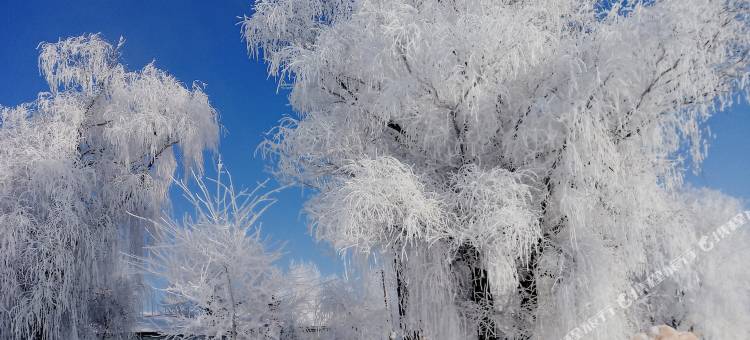 丽洁客栈(雾凇岛景区店)图片