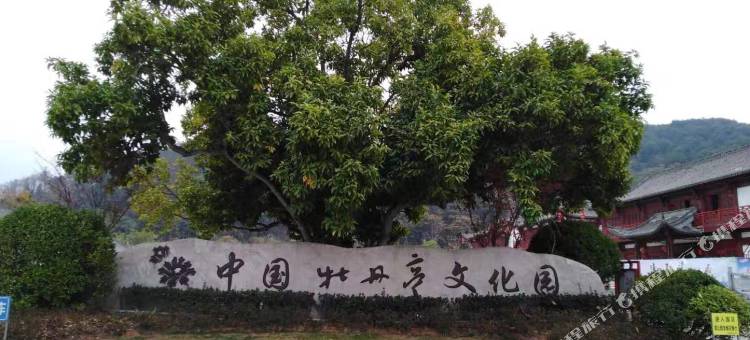 佰嘉成大酒店(大余林丰店)图片