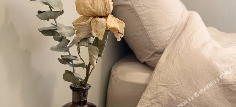 白猫民宿：慢活金门住这里图片