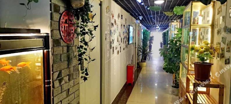 成都木鱼原舍酒店图片