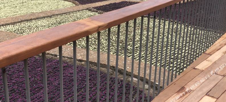 大明山农夫农家乐图片