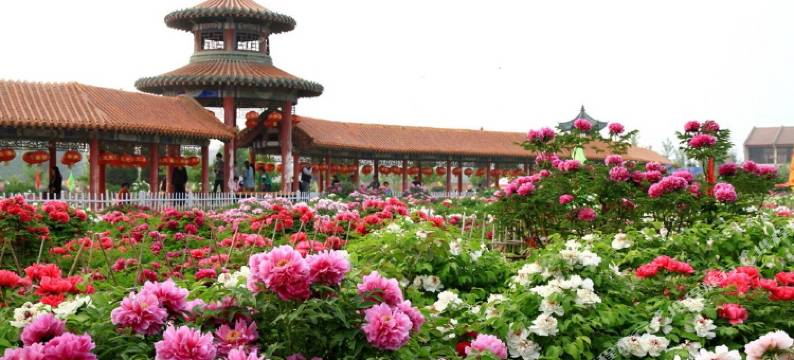 陌舒酒店(菏泽丹阳路店)图片