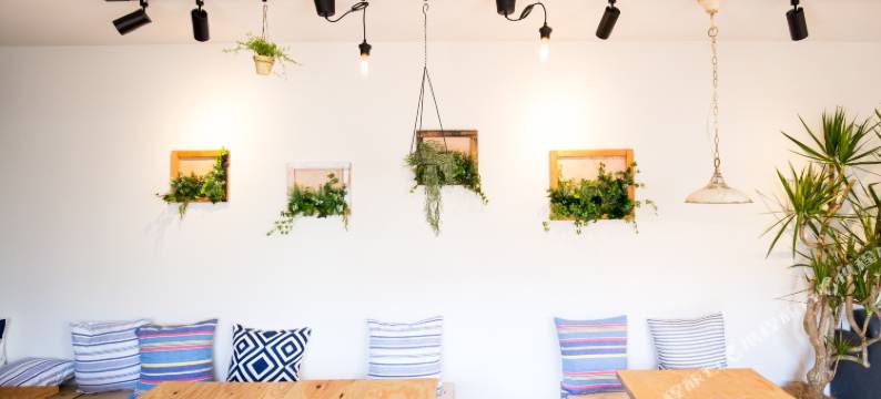 江之岛Iza酒吧客栈(Iza Enoshima Guest House and Bar)图片