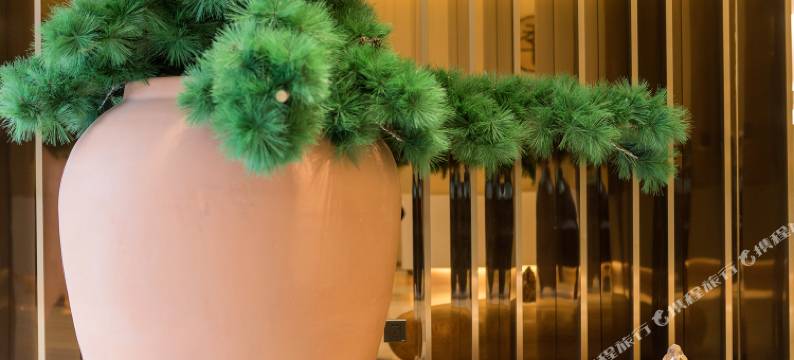 全季酒店(上海静安寺淮海中路店)图片