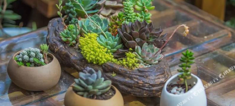 丽江随遇而安客栈图片