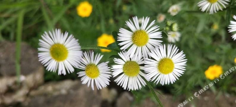 三清山农夫酒店图片