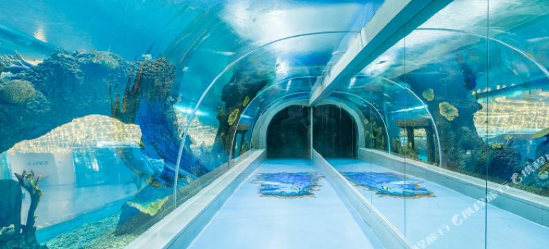 南京豪莱居酒店公寓图片