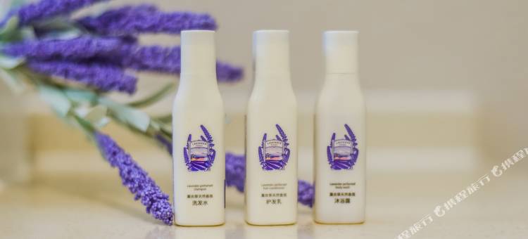 麗枫酒店(重庆杨家坪步行街地铁站店)图片