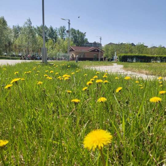 Zijin HotelOver view