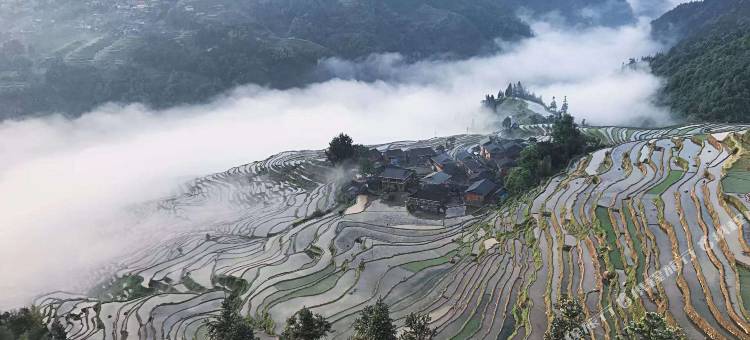 从江加榜云上梯田景观酒店图片