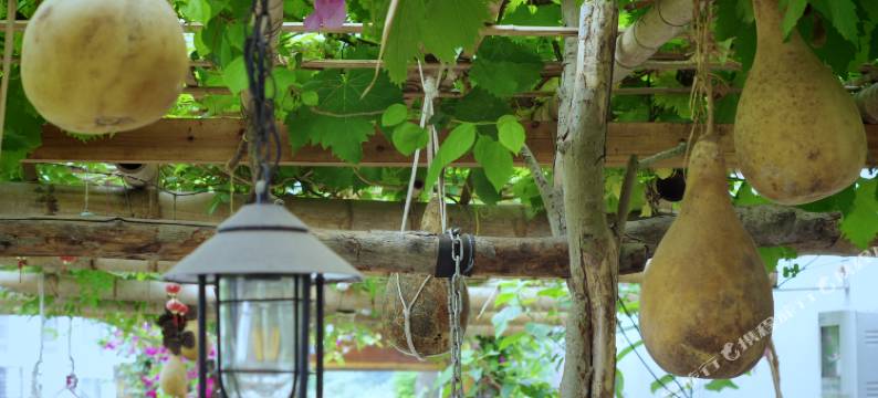 雁荡山山海经民宿图片