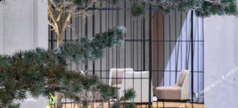 洛隐酒店(洛阳涧西万达牡丹广场店)图片