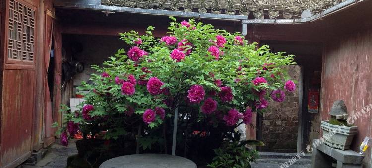 西递青云轩客栈图片