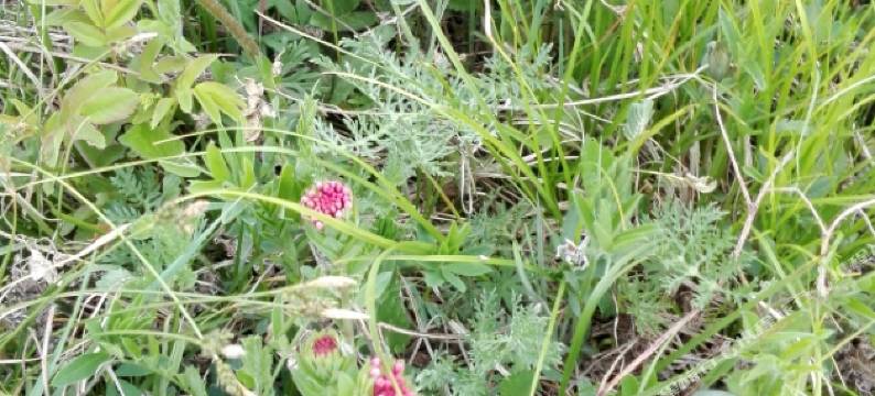 张北天路66号农家图片