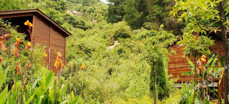 庐山海龙山庄图片