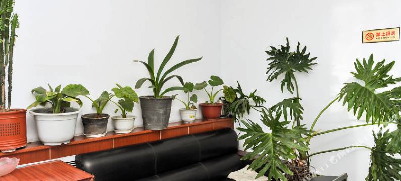 承德宜宾旅馆图片