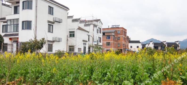千岛湖湖莲农家乐图片