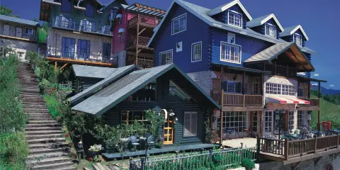 南投清境空中花園