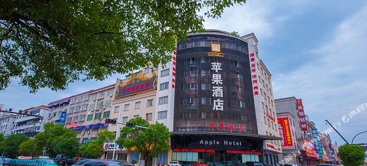 东阳苹果酒店图片