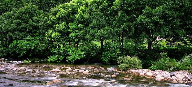 楼山桥民宿(二店)图片