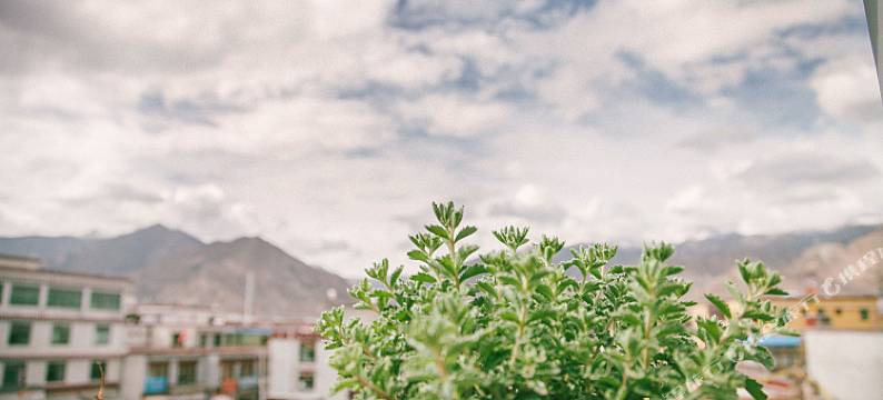 拉萨西城青年客栈图片