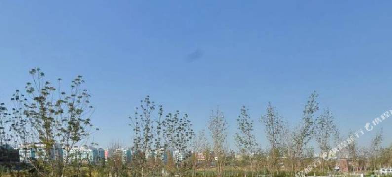 克拉玛依蓝海城市花园酒店图片