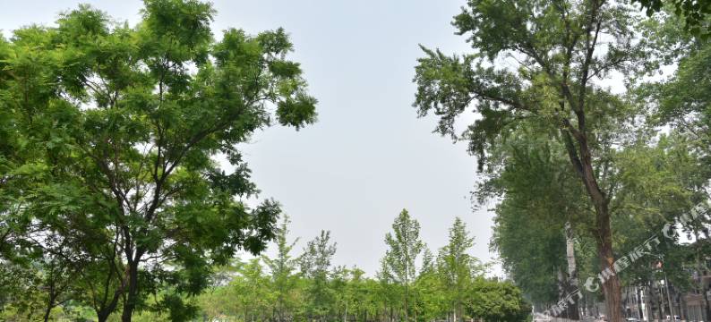 洛阳吉利悉恩酒店图片