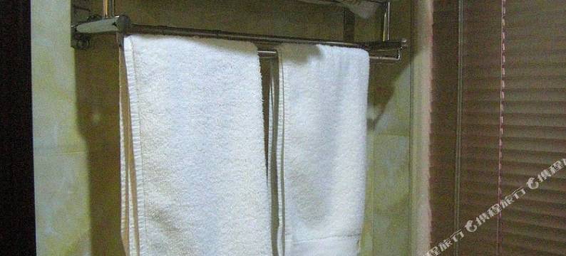 文成君悦大酒店图片