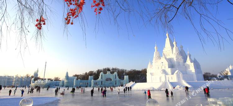 哈尔滨雪域旅舍(中央大街店)图片