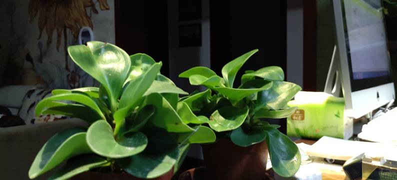 兰州花间青年公寓图片