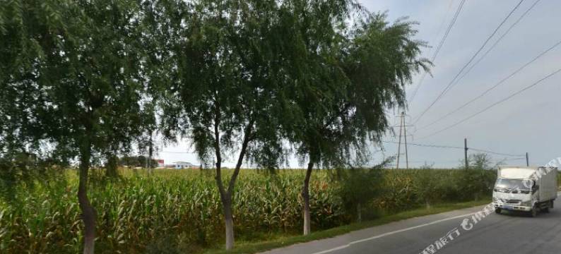 榆树嘉美商务宾馆图片