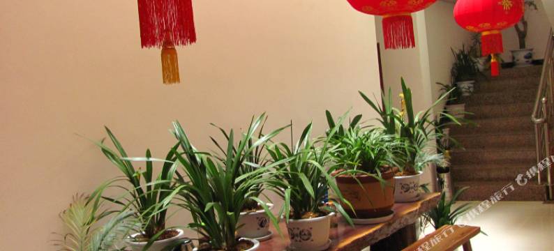 丽江客来祥酒店图片