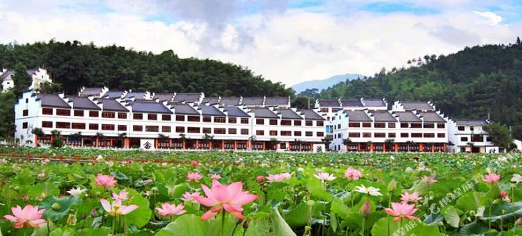 丽水遇见花开民宿图片