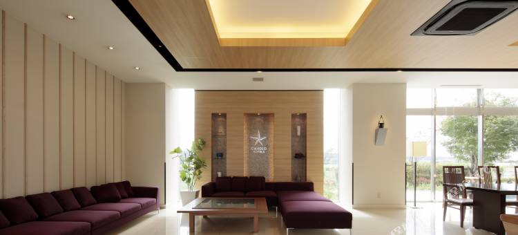 大津熊本机场光芒酒店(CANDEO HOTELS)(Candeo Hotels Ozu Kumamoto Airport)图片