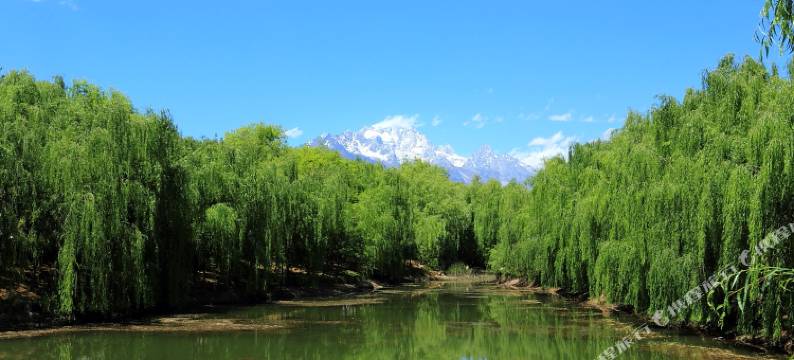 千屿觅云观景别院(丽江古城大水车店)图片