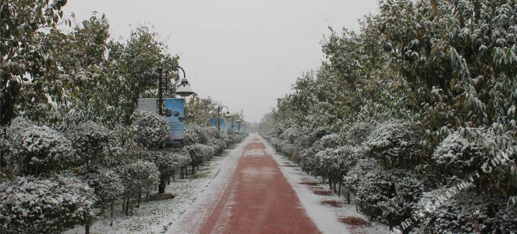 鄢陵金雨玫瑰庄园酒店图片