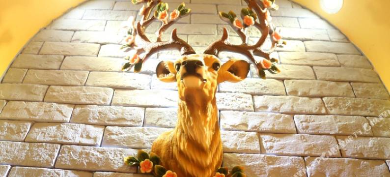 苍溪金上主题酒店图片