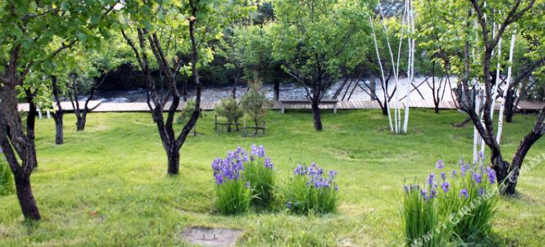 长白山行者天下青年旅舍图片