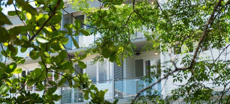 降灵岛中心酒店(Heart Hotel and Gallery Whitsundays)图片